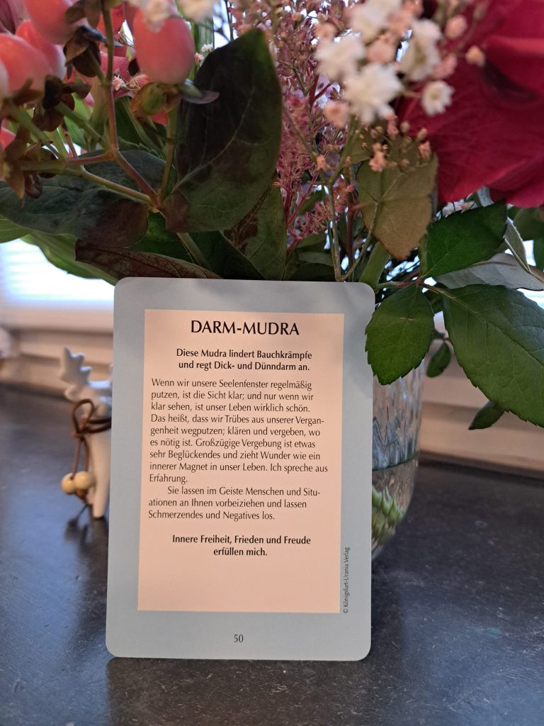 Foto der Rückseite der Mudrakarte für den Darm mit dem Beschreibungstext. Karte lehnt an einer Blumenvase.